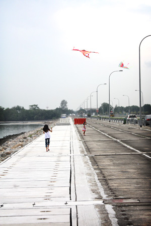 Both sisters flying kites